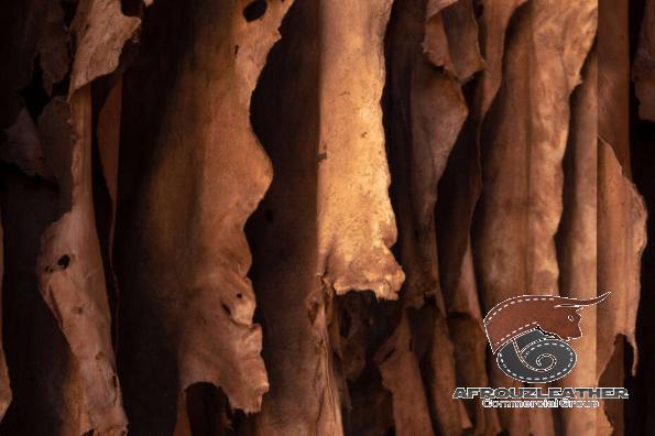 Natural Cowhide Leather for Sale