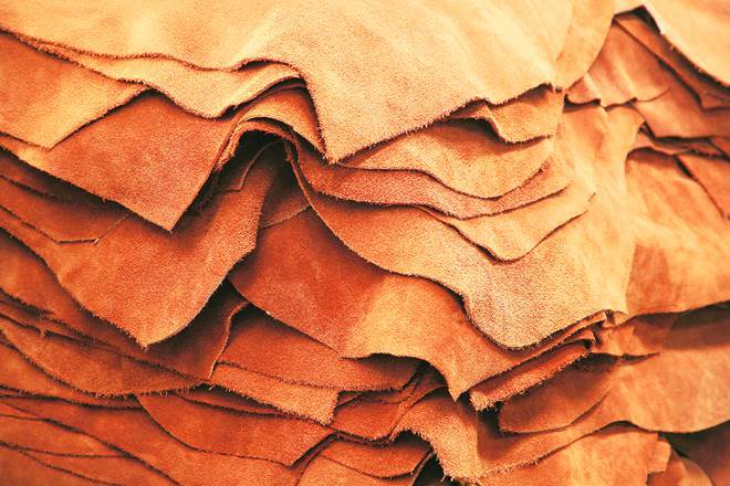 The impact of leather and tanneries