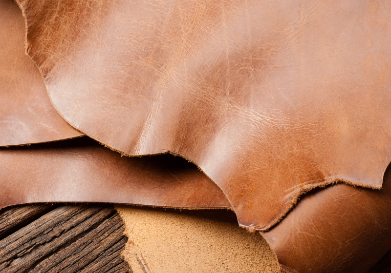The impact of leather and tanneries