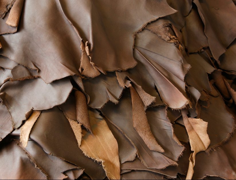 leather Tanning process